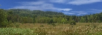 horizon1-petit.jpg horizon1-petit.jpg